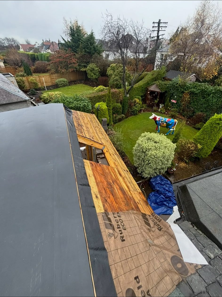 Felt flat roof on a rear extension overlooking a garden in Edinburgh